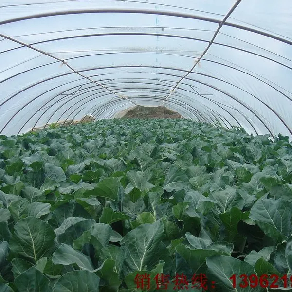 批发优质农用塑料大棚膜 无滴膜 流滴膜 农膜