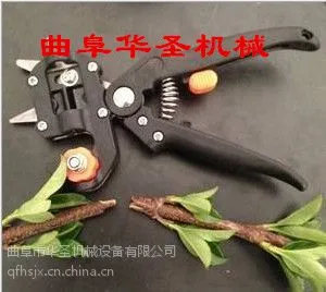 ̨����ڼ޽ӻ� ��԰��ľ��֦�޽Ӷ���