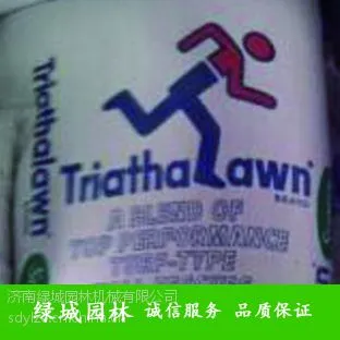 供应高羊茅-铁人三项-大联盟-肥猫-凌志-绿景五号-百禾九号-绿园5号