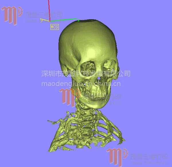 广州3D打印店 3D打印手板价格便宜快速成型技术打印石膏人像玩具创意礼品