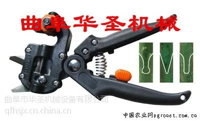 �¿�԰�ն��ü޽ӻ� �޽�ǯ���ڼ۸�