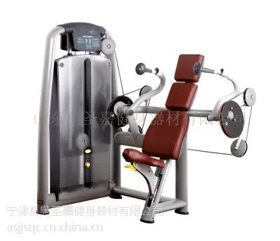 供应高端精致健身房的明智之选——奥圣嘉三头肌训练器