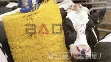 供应八达制刷厂新品奶牛挠痒刷 奶牛梳理刷