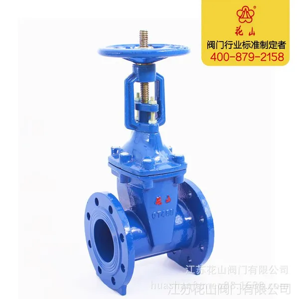 供应花山阀门 球墨铸铁 法兰软密封闸阀Z41X-16Q dn50明杆 厂家直销