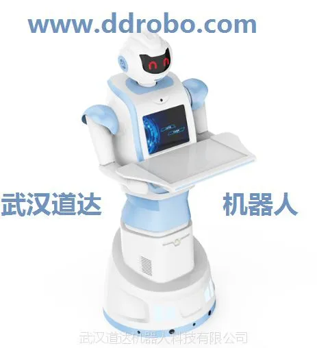 天廪智能人形商用迎宾机器人-外观及软硬件支持定制-身高1.6米语音互动人脸识别业务办理迎宾导航