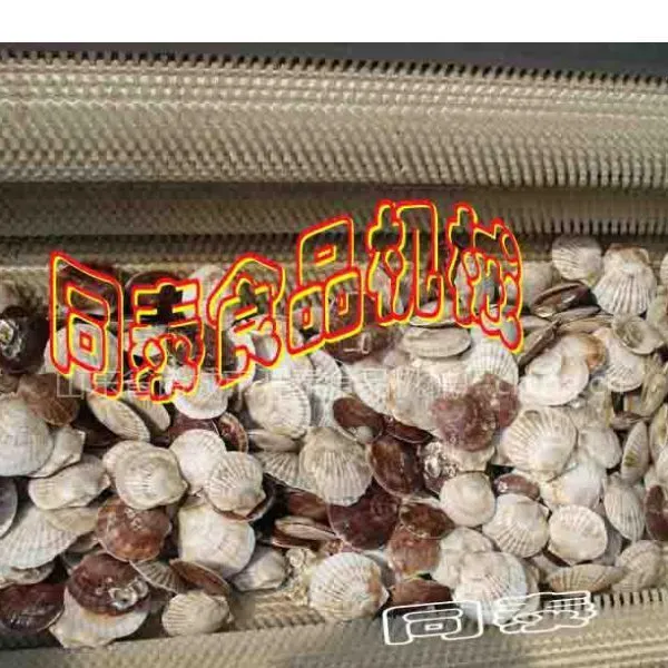 常州花蛤专用清洗机,贝类清洗设备