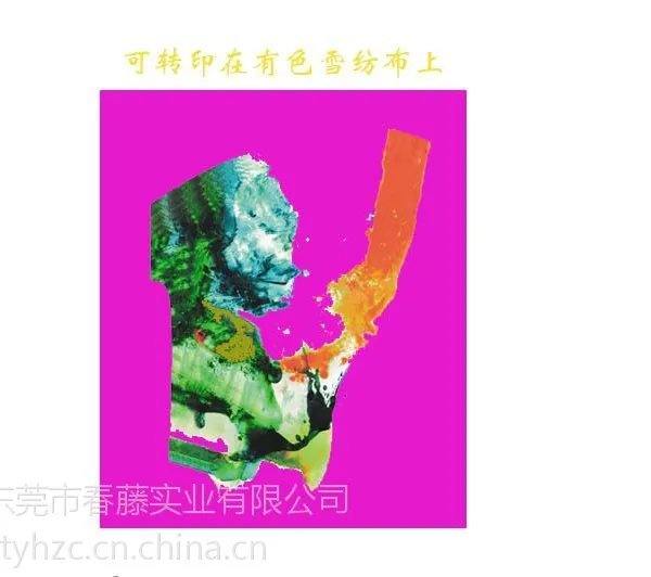供应热转移雪纺布、内裤花纸