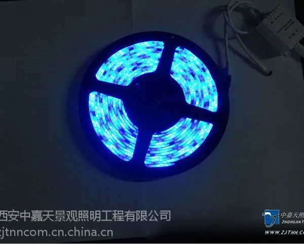 供应LED灯带 户外装饰灯 数码管 软灯带 LED灯具