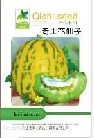 供应奇士花仙子甜瓜种子