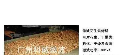 供应微波花生烘烤设备