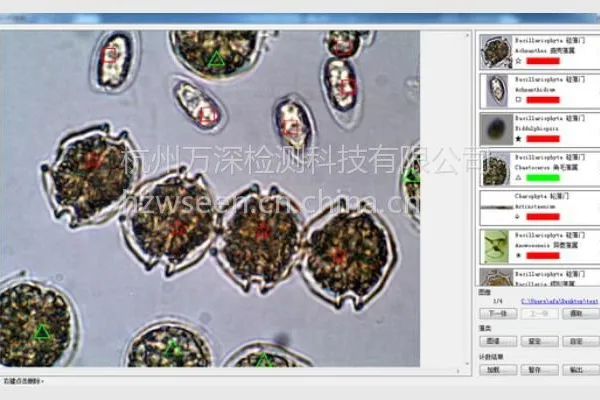 供应万深多功能生物监测仪AlgaeC型藻类智能鉴定计数仪