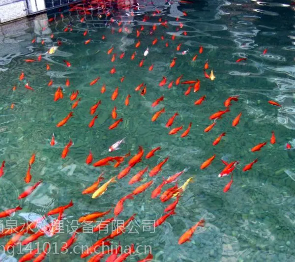 郑州涌泉牌景观池水循环处理、无需放消毒剂、保证鱼类的存活。简单、方便、涌泉地埋式YQ-600型号
