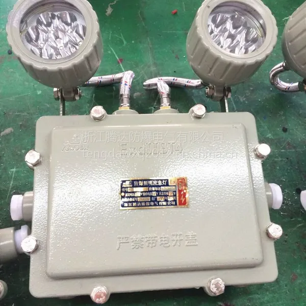 腾达防爆双头应急灯 BCJ-2*10 消防应急灯