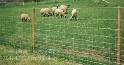供应草原围栏网 草原圈养网 草原隔离网