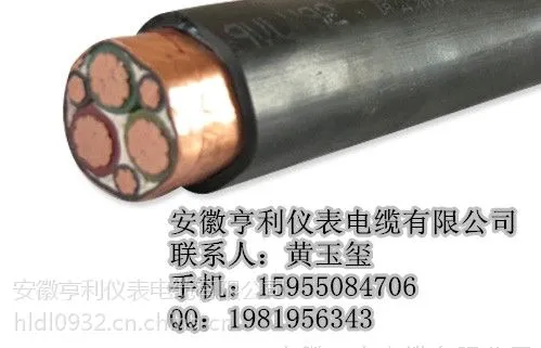 亨仪阻燃变频电缆ZR-BPVVPP2酒店用品