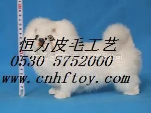 供应民族工艺品,真毛立体猫