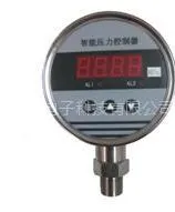 供应新敏电子智能压力控制器BPK104