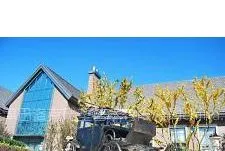供应天津铸铜雕塑公司,天津景观园林雕塑制作铜马车雕塑
