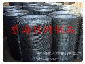 供应【专业批发】黑丝电焊网、铁丝网