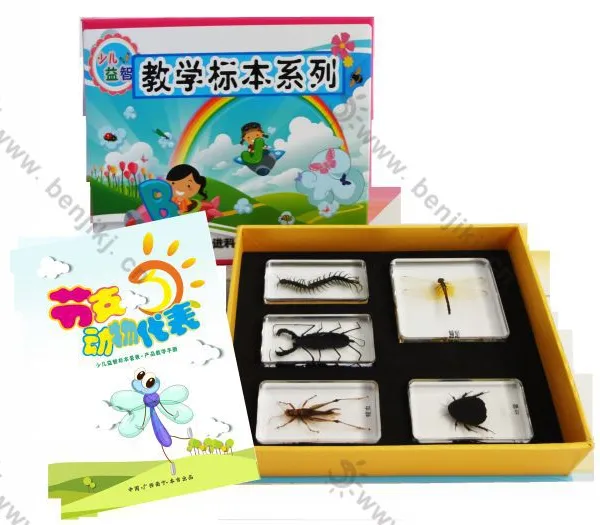 ��Ӧ���ҵͼ۹�Ӧѧǰ�������ǰ���걾|������ߡ�����֫���������