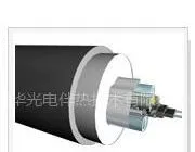 供应北京中海华光烟气分析耐腐伴热采样复合管