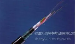 供应SYV(PVP)铠装视频线