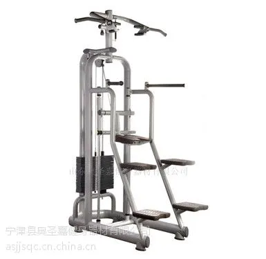 供应国家队训练专用——奥圣嘉引体向上训练器健身房的好选择