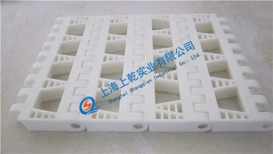 食品级塑料网带厂家