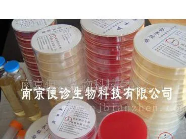 营养琼脂培养基