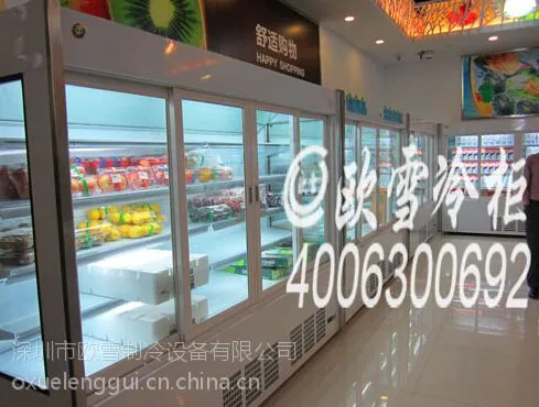 北京天津河北、DIG直营店自贸区冷柜是欧雪冷柜直销的吗
