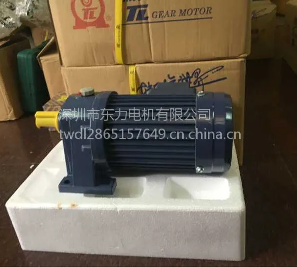 厦门东历大型游乐设备专用电机PL22-0400-10S3B