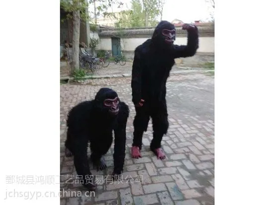 ����Գ�˺�����ģ��