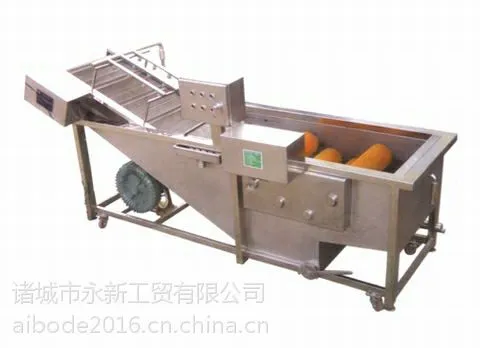 艾博得专业定制水果蔬菜气泡喷淋清洗机 清水机价格