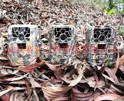 1200万像素红外夜视自动监测相机苍鹰SG-009(940nm)