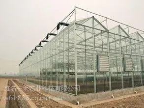 玻璃连栋温室蔬菜大棚建设成本