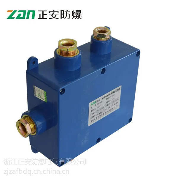 【正安防爆】JHH-6/10/20六通电路用本安接线盒 防水接线盒