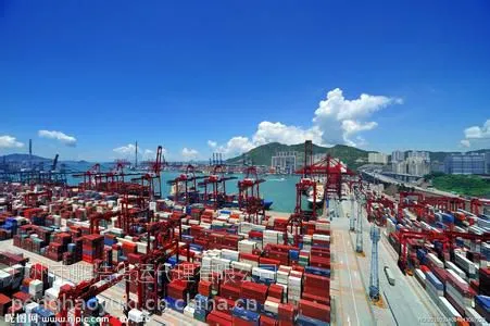 广州专业拖车报关,时效最快,价格最优惠,值得信赖拖车报关行!!!