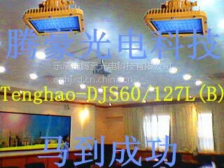 供应防爆高效节能无极灯