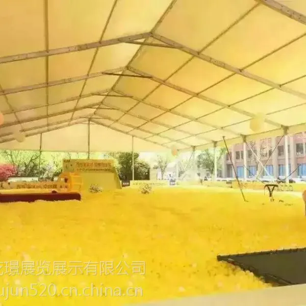 彩色的多彩世界大型活动道具百万海洋球出租