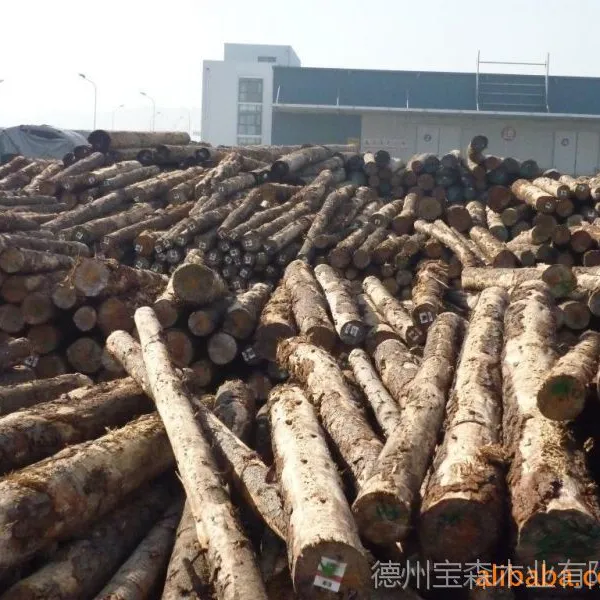 大量批发各种长度 矿用坑木 原木 板方材(同时出具增值税发票)
