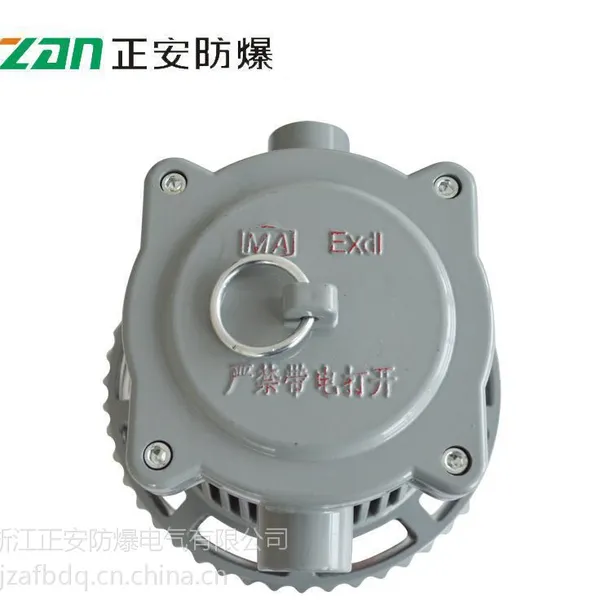 【正安防爆】隧道灯具 DGS30/127L(A)矿用隔爆型Led
