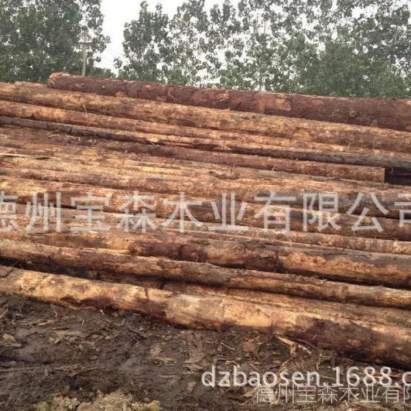 年底促销 美国进口大径云杉 优质云杉 质优价廉 全国质保 可定制