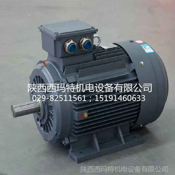 ������ ��Ч��� ���ܵ��YE2-315S-2 110KW ��Ʒ���� ***