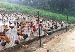 贵州博赛元供应养殖场护栏网贵阳圈地农场防护网型号贵州桃型护栏价格