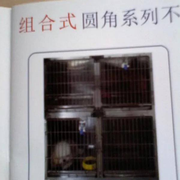不锈钢四组合宠物寄养笼。经济实惠,隔音、隔味、防止交叉感染、永不生锈。是宠物寄养的好笼子