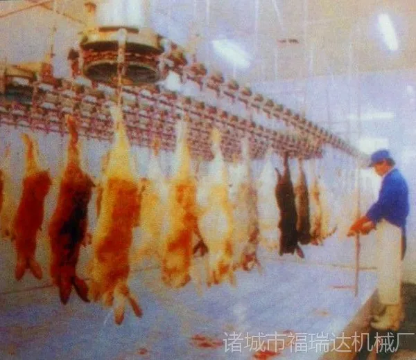 四川肉兔屠宰生产流水线线设备
