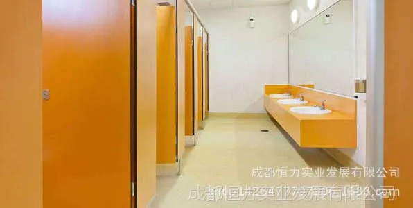 四川绵阳塑胶地板 柏莱安全标准 商用地板 防滑地面材料