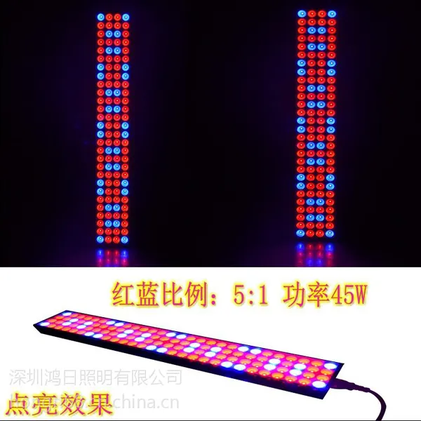 LED植物生长灯 植物生长灯条 花卉培育灯 蔬菜生长灯 植物补光灯 鸿日照明