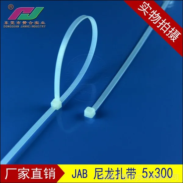 供应尼龙扎带5x300,白色尼龙扎带,尼龙绑带 捆绑带 电线厂用扎带