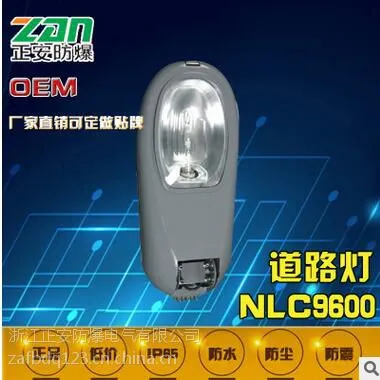 NLC9600道路灯